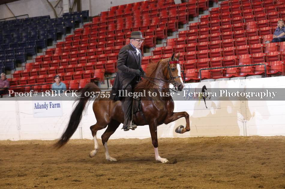 Proof 18BUCK_03755