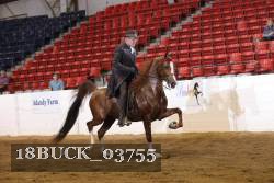 18BUCK_03755 proof
