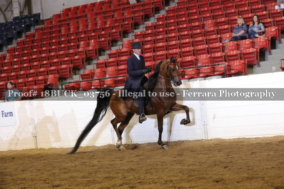Proof 18BUCK_03756