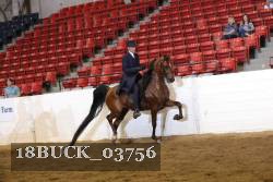 18BUCK_03756 proof