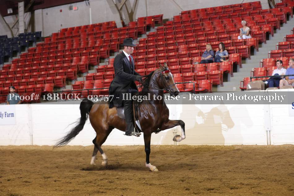 Proof 18BUCK_03757