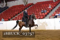 18BUCK_03757 proof
