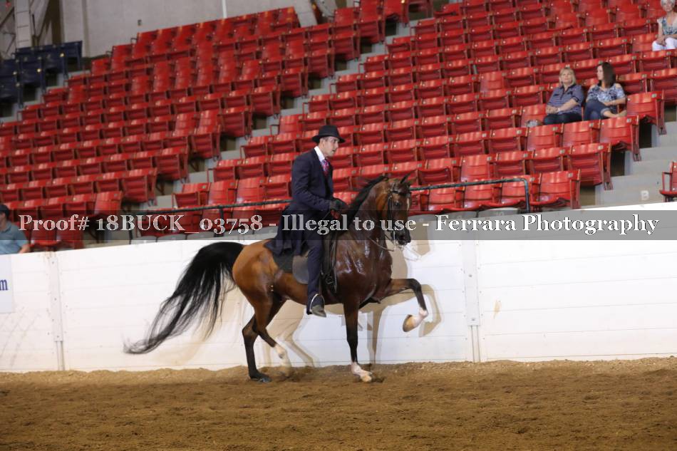 Proof 18BUCK_03758