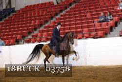 18BUCK_03758 proof