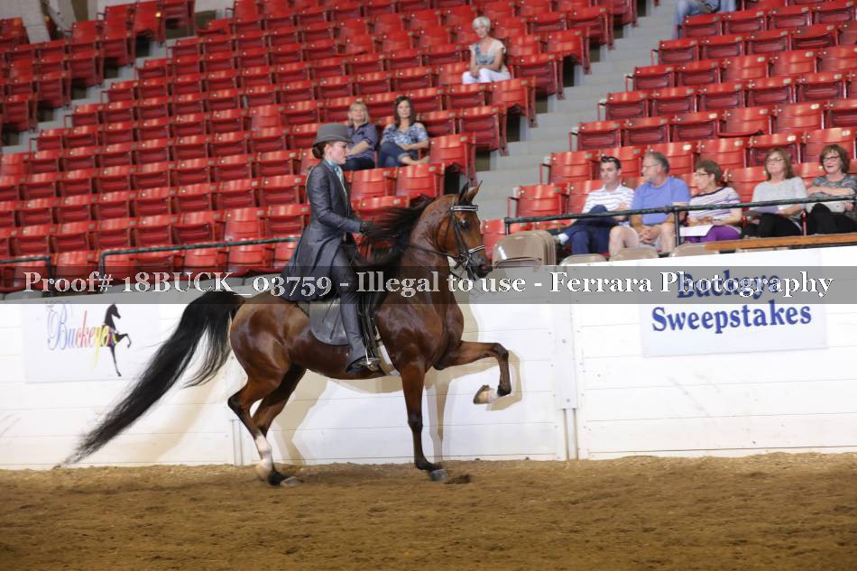Proof 18BUCK_03759