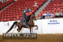 18BUCK_03759 proof