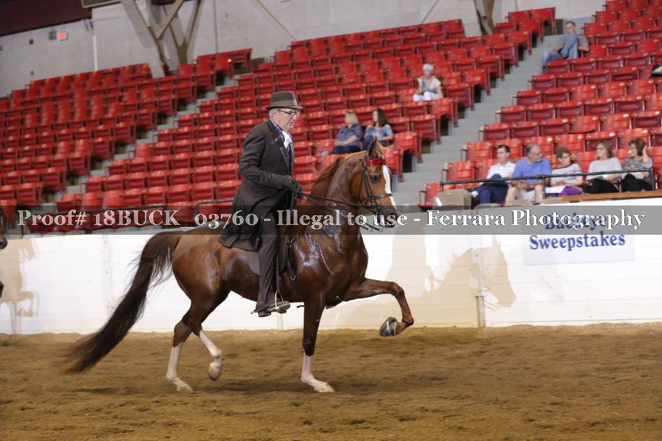 Proof 18BUCK_03760