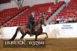 18BUCK_03760 proof