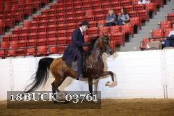 18BUCK_03761 proof
