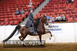 18BUCK_03762 proof