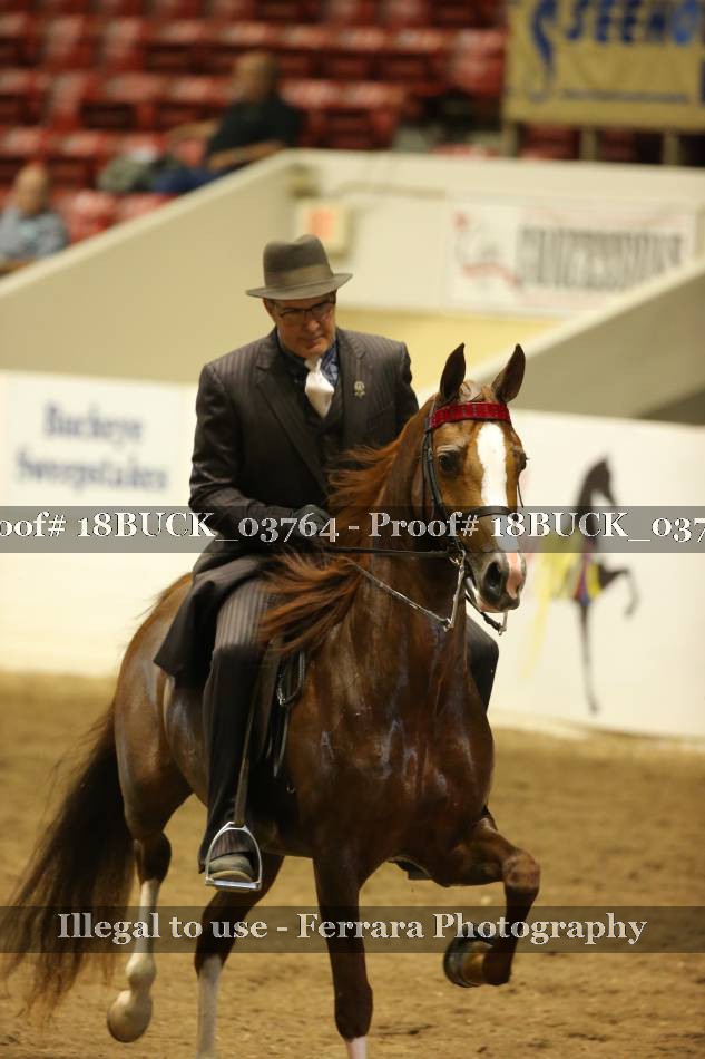 Proof 18BUCK_03764