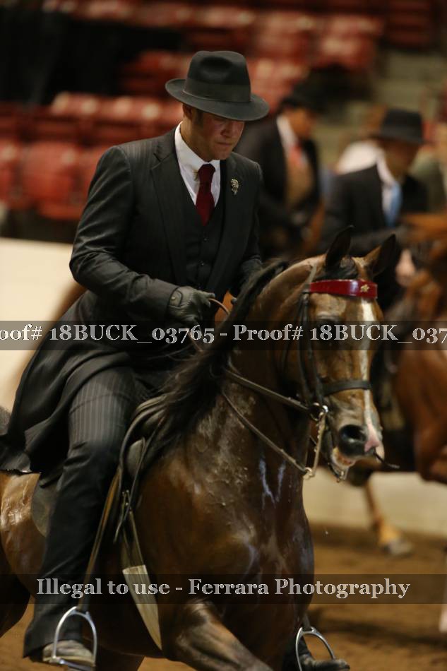 Proof 18BUCK_03765