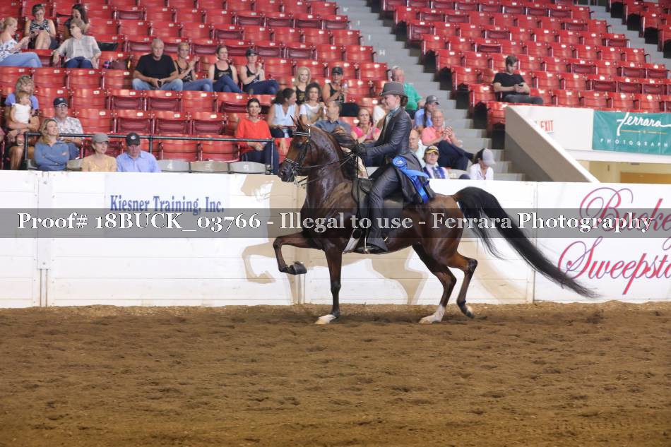 Proof 18BUCK_03766