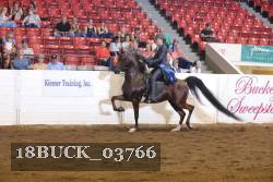 18BUCK_03766 proof