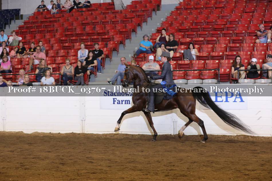 Proof 18BUCK_03767