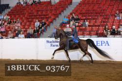 18BUCK_03767 proof