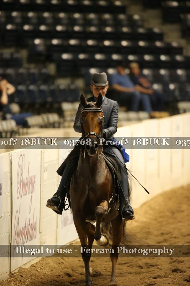Proof 18BUCK_03768