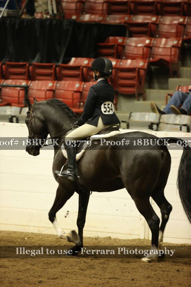 Proof 18BUCK_03779