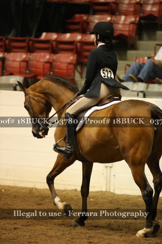 Proof 18BUCK_03780