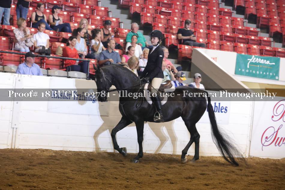 Proof 18BUCK_03781