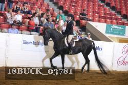 18BUCK_03781 proof