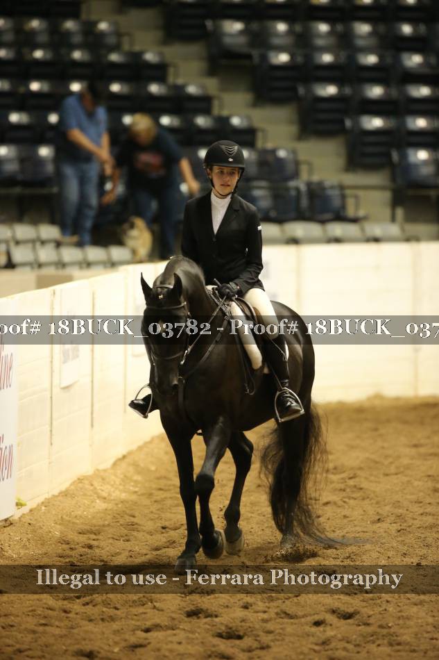 Proof 18BUCK_03782