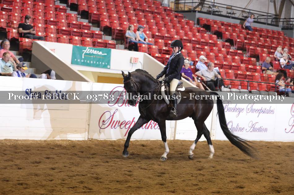 Proof 18BUCK_03783