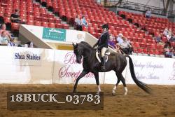18BUCK_03783 proof