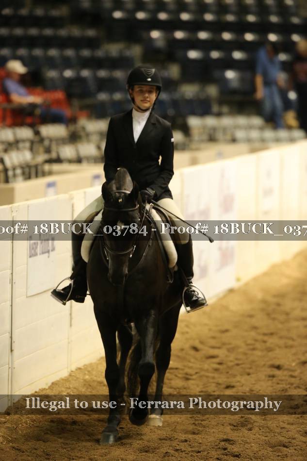 Proof 18BUCK_03784