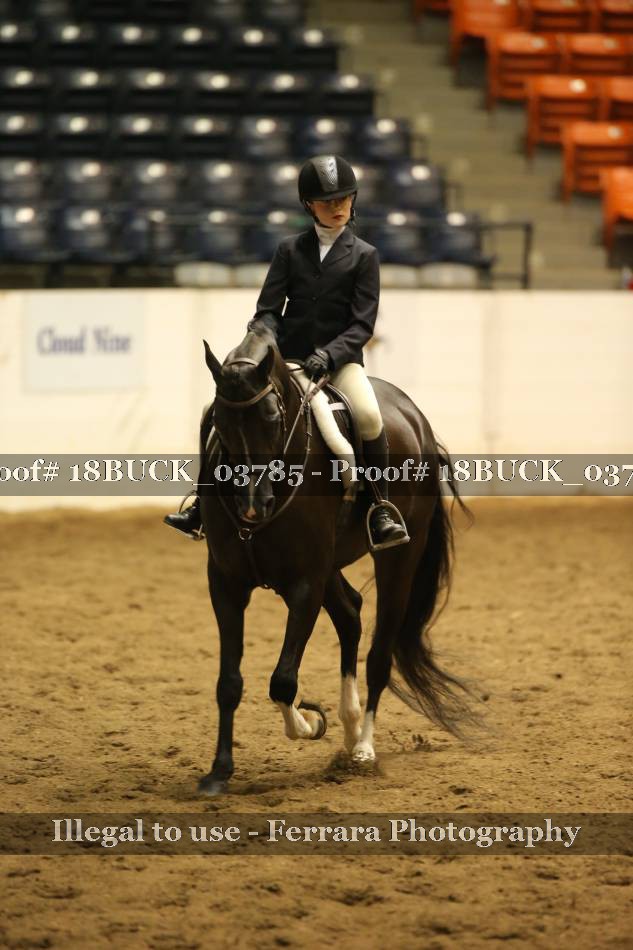 Proof 18BUCK_03785