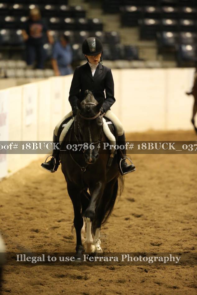 Proof 18BUCK_03786