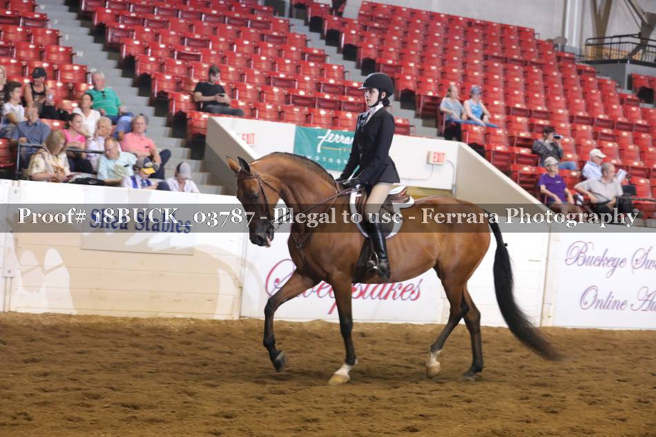 Proof 18BUCK_03787