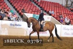 18BUCK_03787 proof