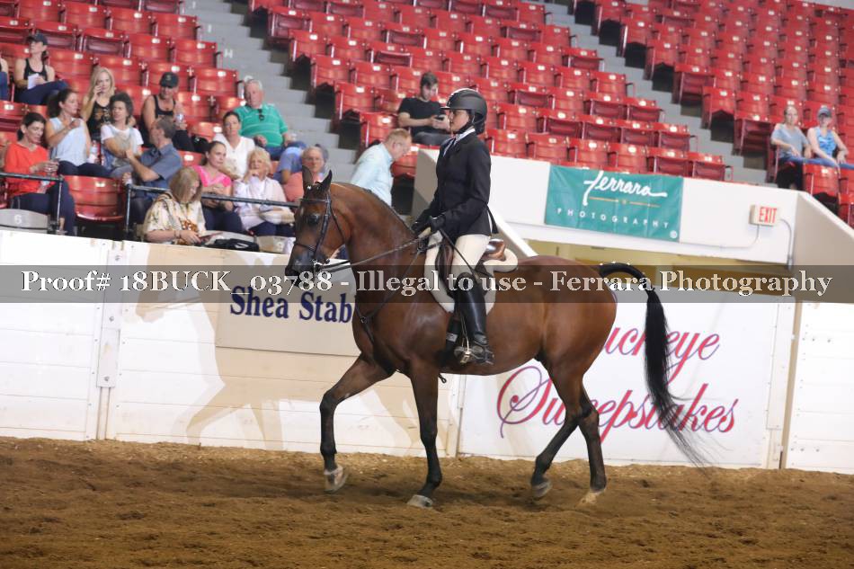 Proof 18BUCK_03788