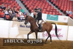 18BUCK_03788 proof