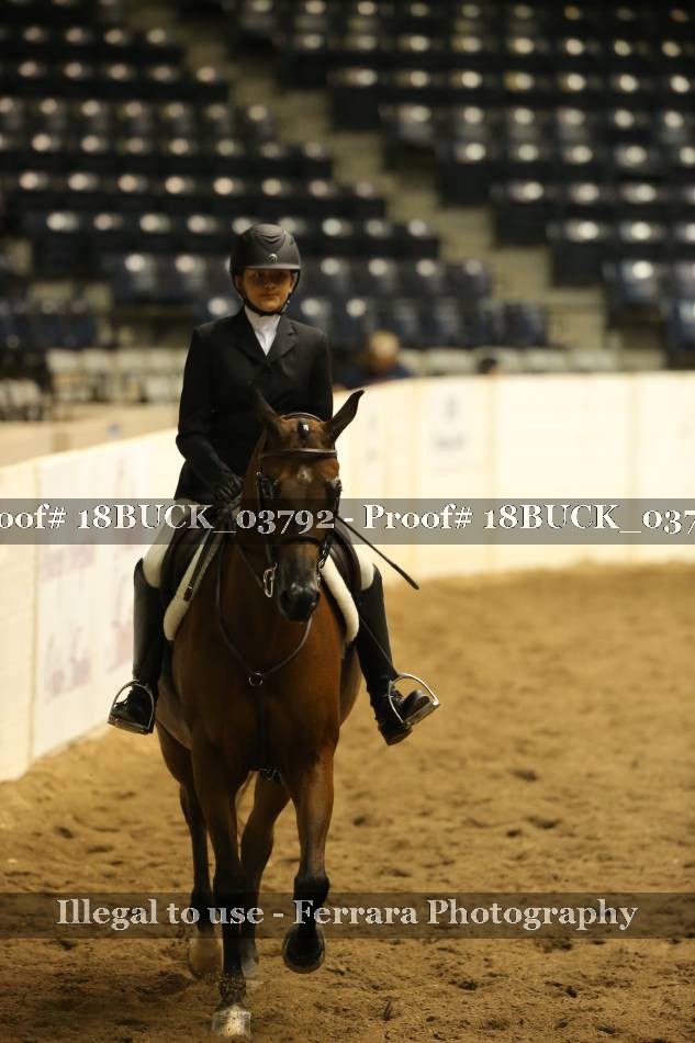 Proof 18BUCK_03792