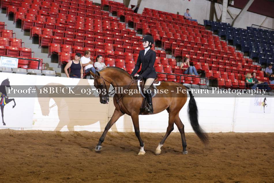 Proof 18BUCK_03793