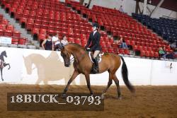 18BUCK_03793 proof