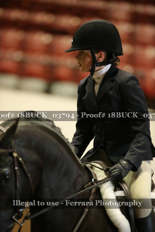 Proof 18BUCK_03794