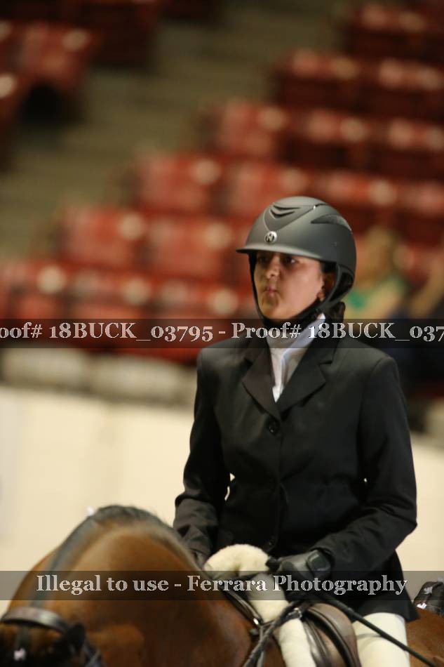 Proof 18BUCK_03795