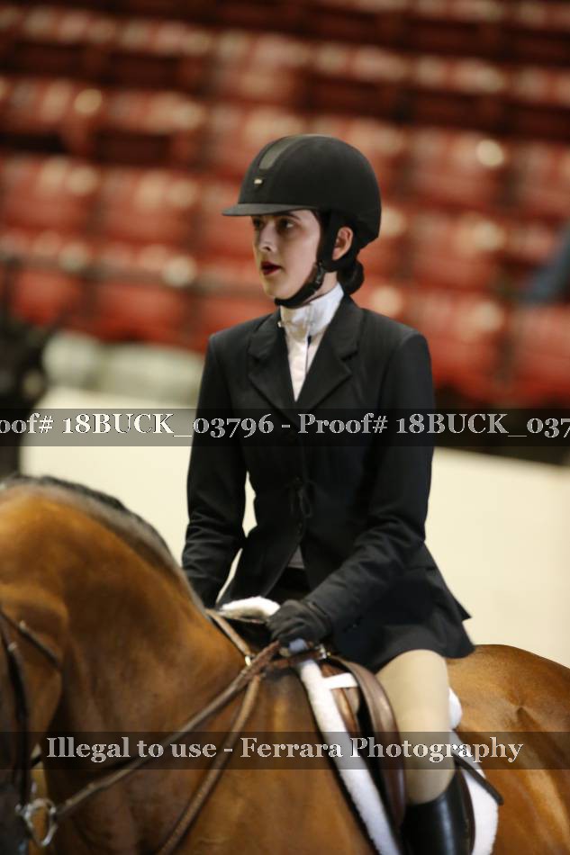 Proof 18BUCK_03796