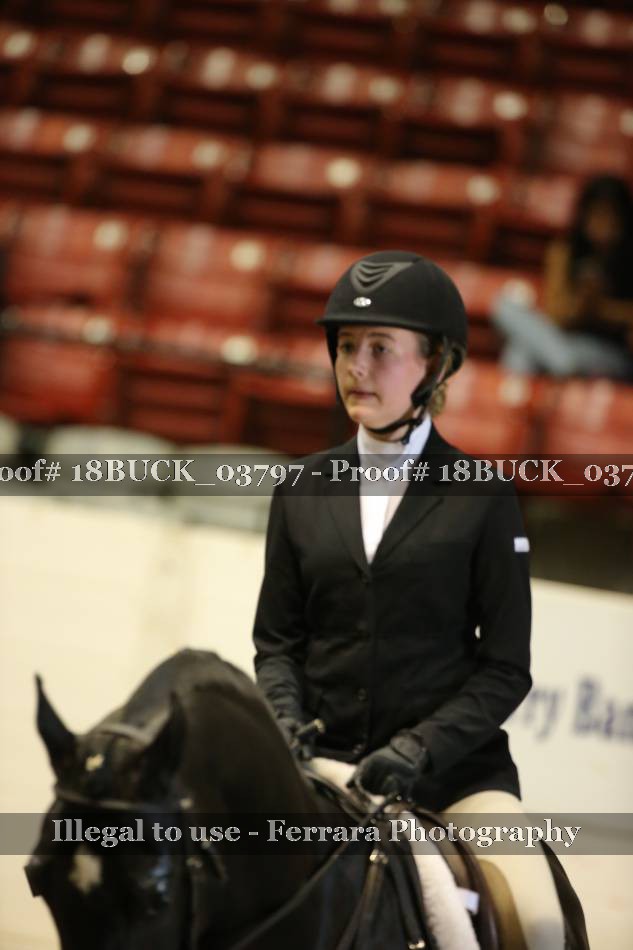 Proof 18BUCK_03797
