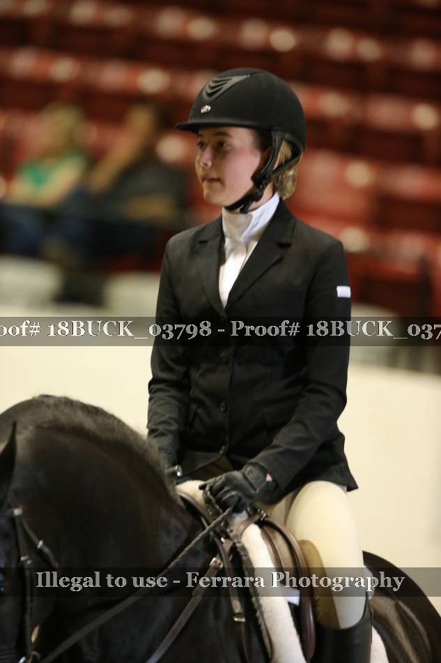 Proof 18BUCK_03798
