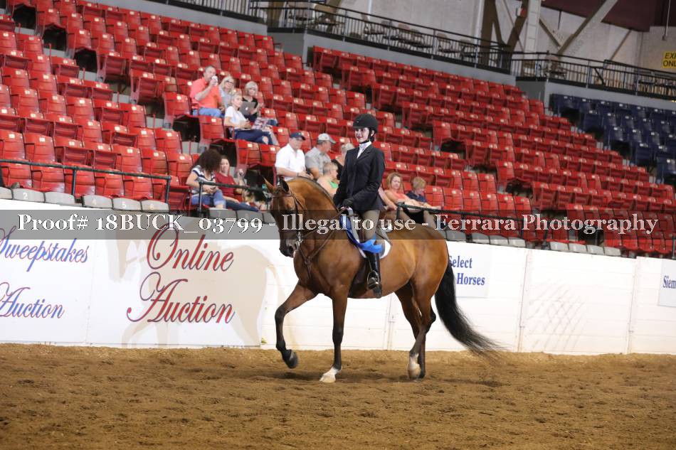 Proof 18BUCK_03799