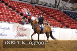 18BUCK_03799 proof