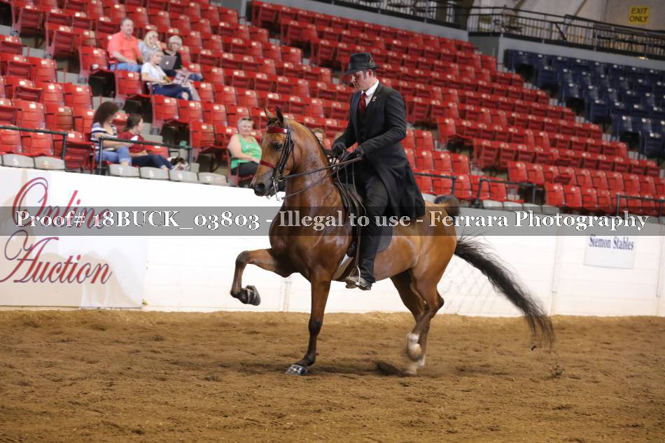 Proof 18BUCK_03803