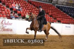 18BUCK_03803 proof