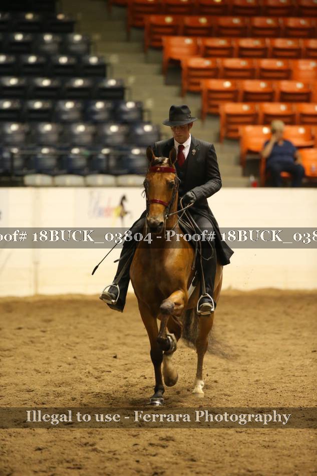 Proof 18BUCK_03804
