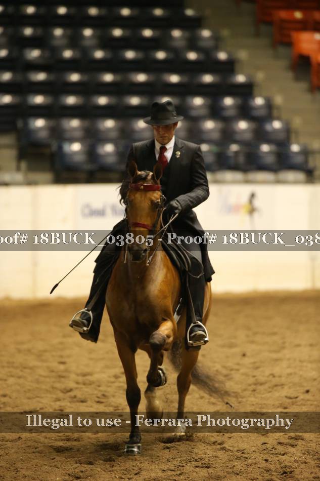 Proof 18BUCK_03805