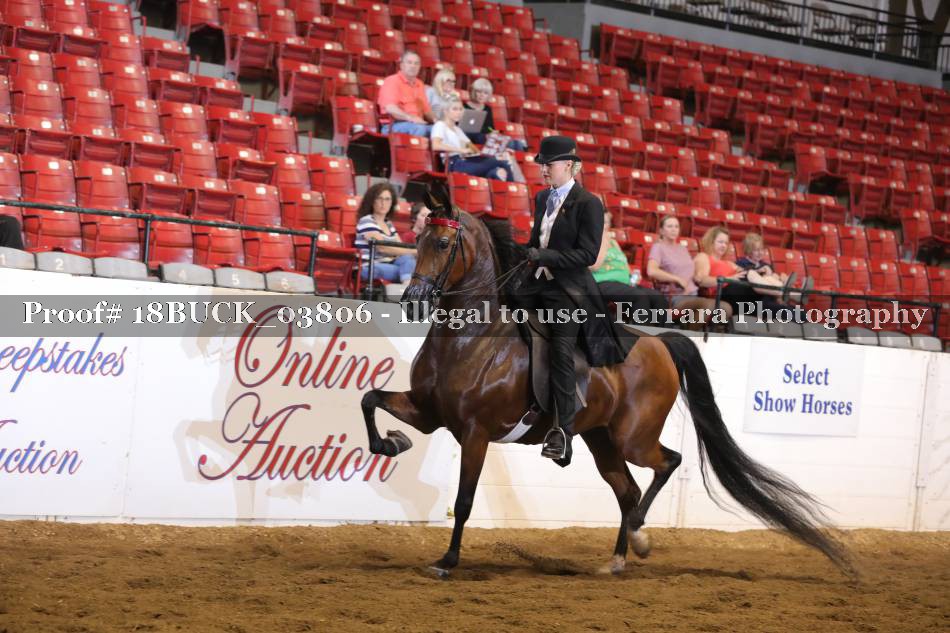 Proof 18BUCK_03806